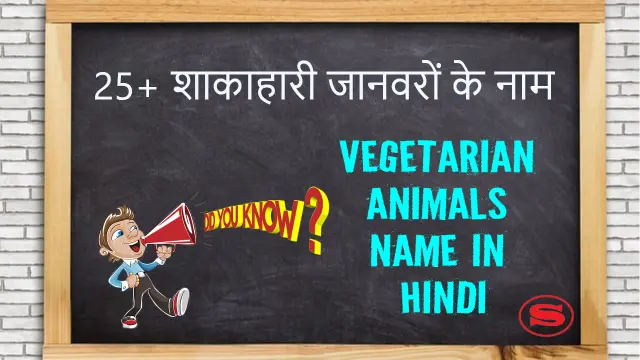 vegetarian animals name