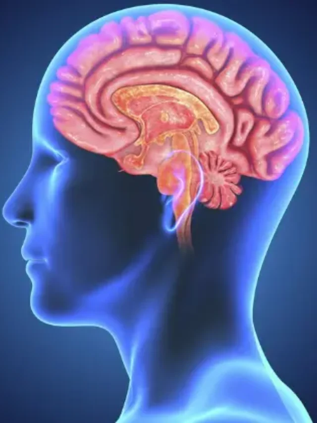 Unlocking Mysteries: Surprising Facts about Your Amazing Brain!